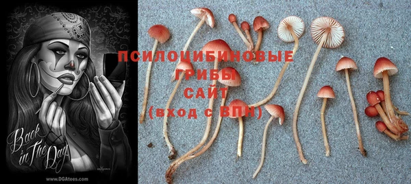 спиды Киренск