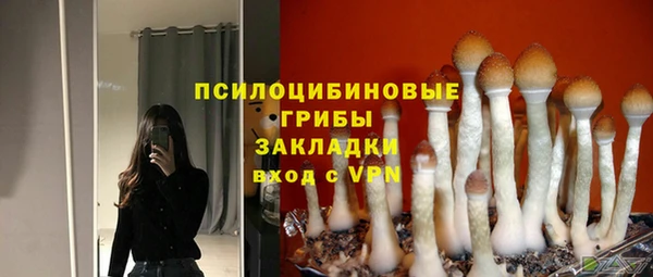 спайс Касимов