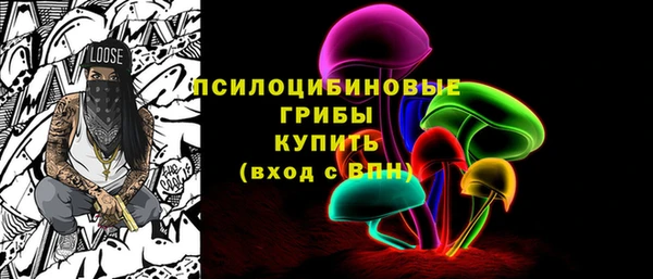 2c-b Кинешма