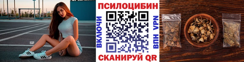 Псилоцибиновые грибы Cubensis  Купить закладки  Дудинка 